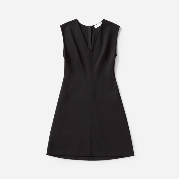 Everlane The Sleeveless V-Neck Flare Dress - EUC - Picture 3 of 5